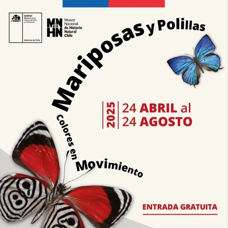 Centenares de mariposas y polillas de todo el mundo se toman el MNHN en nueva exposición