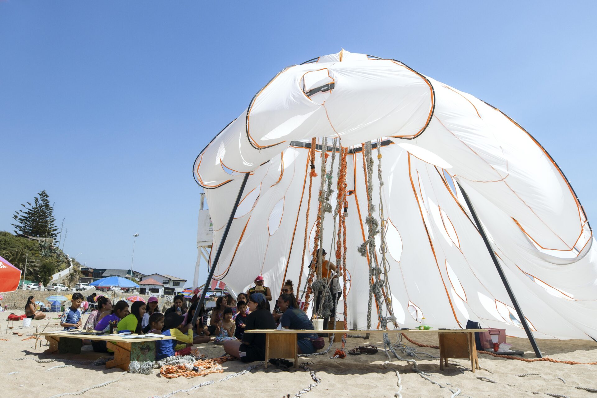 La carpa de la medusa: una experiencia de aprendizaje en la playa