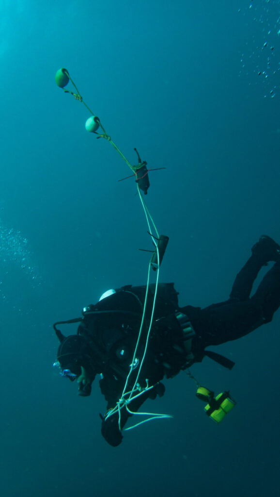 Es Rodrigo Alarcón, buzo de la Estación Costera de Investigaciones Marinas (ECIM) en proceso de instalación del hidrófono, que es el aparato que esta en la parte superior de la soga. El aparato de más abajo es un miniDOT, con ese instrumento se toman mediciones de oxígeno disuelto y temperatura. Esta foto fue tomada por Ana Navarro Campoy.