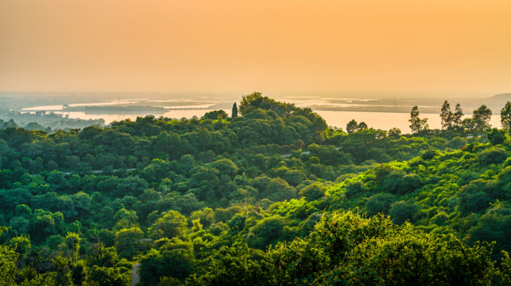 Bosques en Río Amazonas. Imagen referencial.