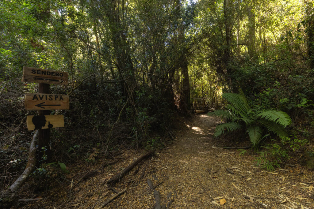 Parque de insectos.