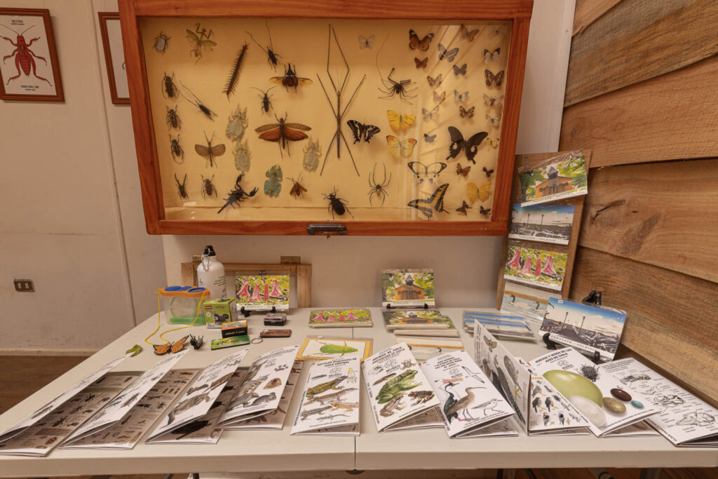 Parque de insectos.