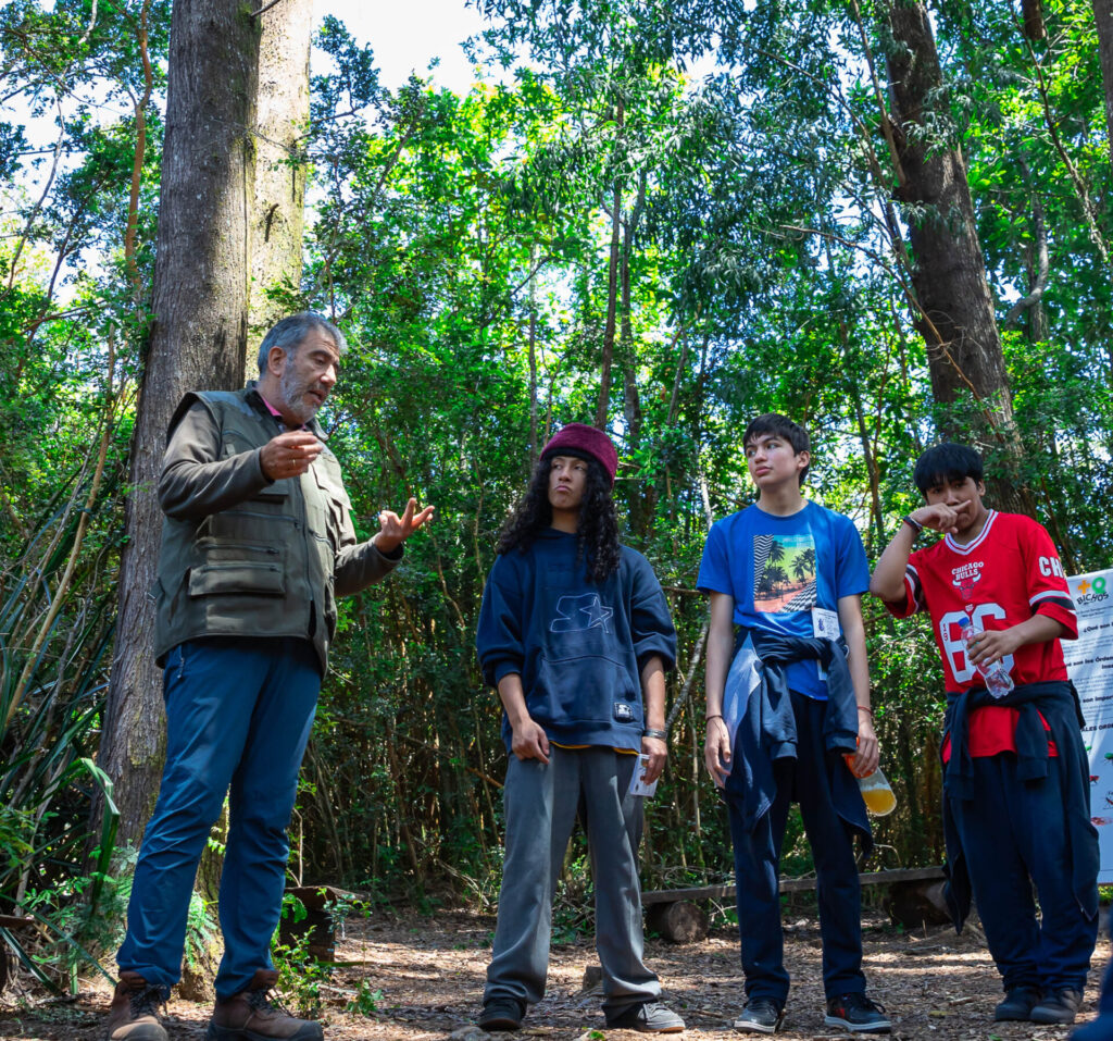 Parque de insectos.