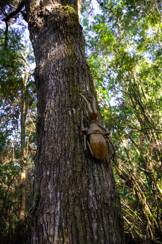 Parque de insectos.