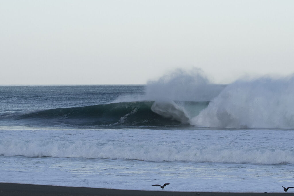 Mar de Pisagua. Créditos: Marcos Tobar.