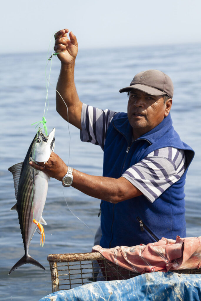 Pesca artesanal. Créditos: Marcos Tobar.