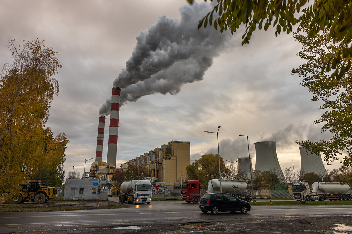 Descarbonizados: ¿Sirven las acciones individuales para luchar contra el cambio climático?