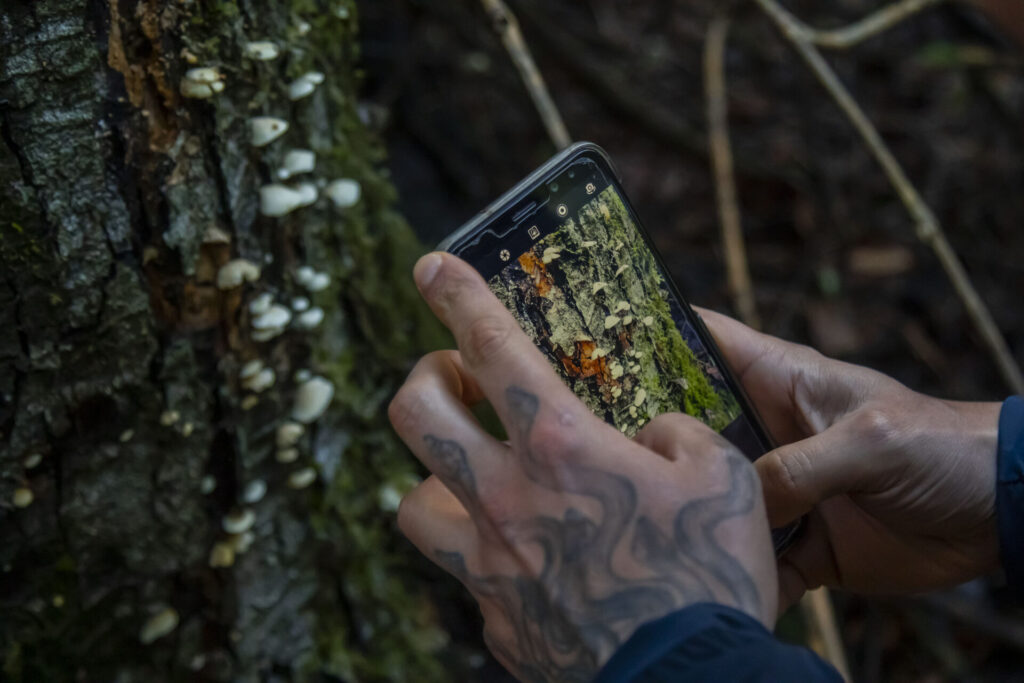 Visita al Campus de Naturaleza de la Universidad de Concepción. Créditos: Universidad de Concepción