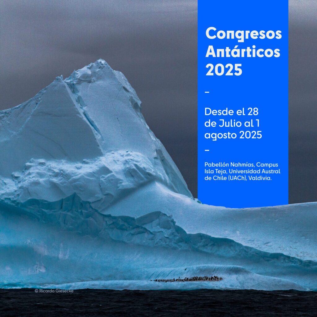 Afiche. Créditos: Centro IDEAL