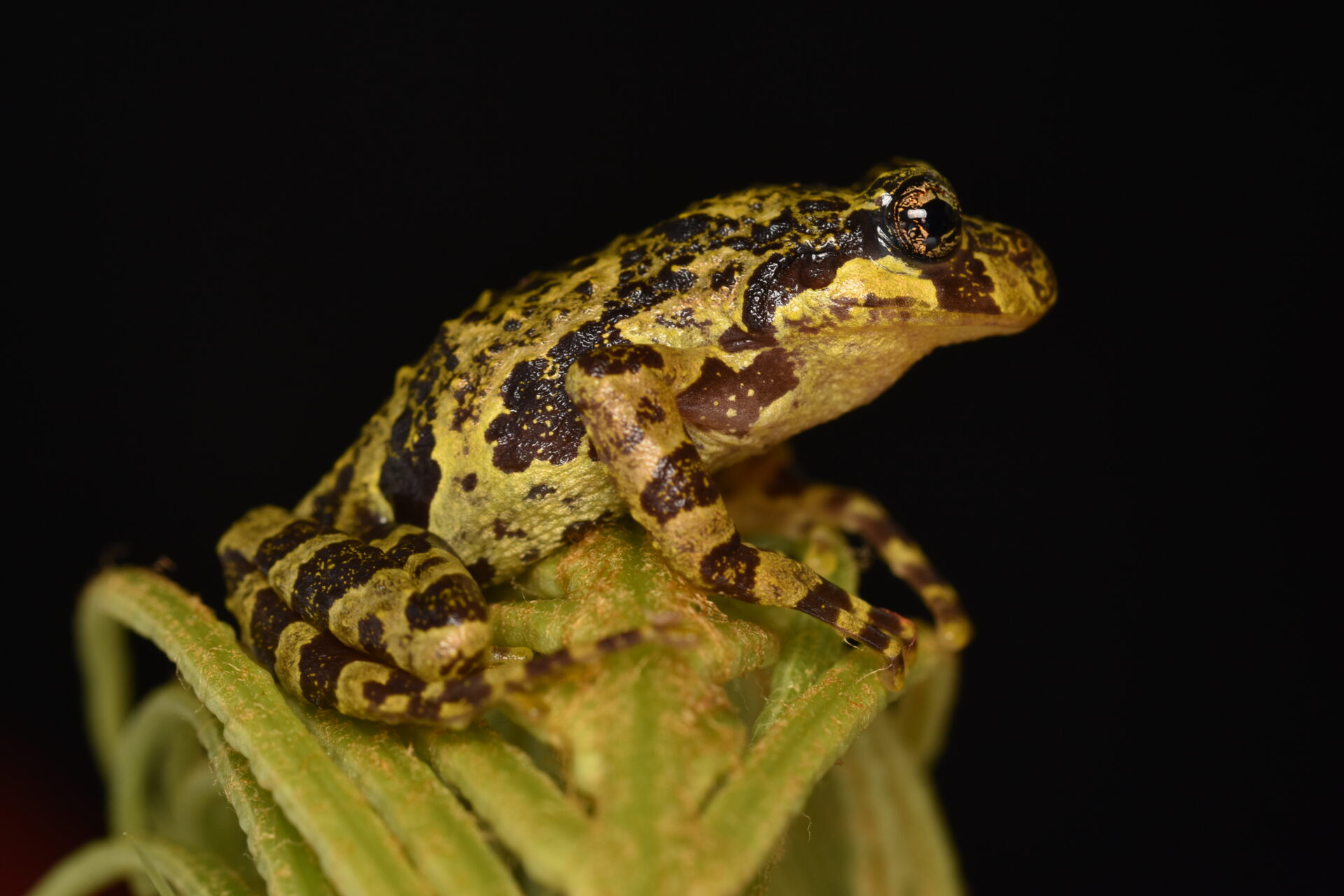 Encuentro por la Biodiversidad: Turismo al servicio de la conservación de la naturaleza y la resiliencia de los territorios