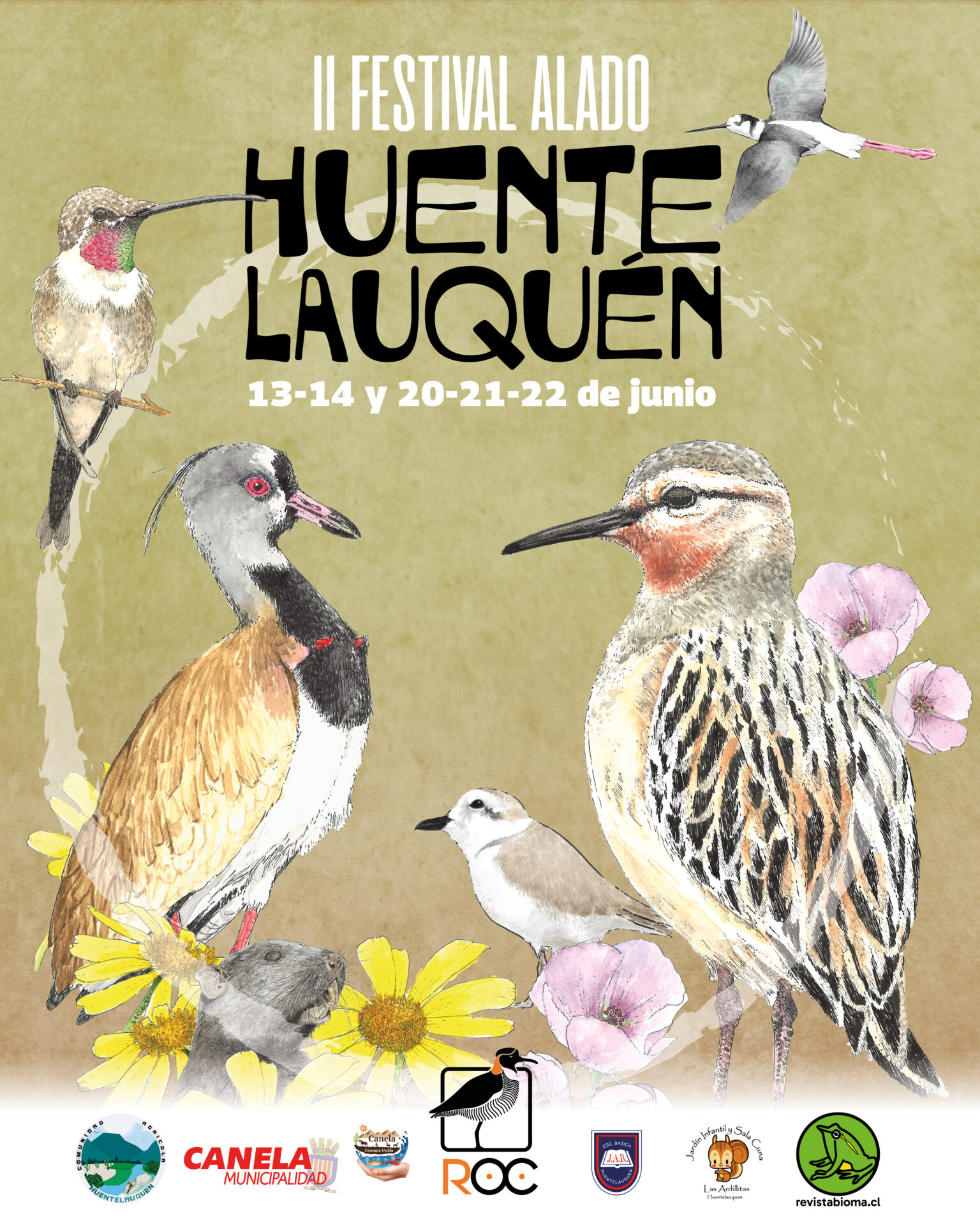¡Vuelve el Festival Alado para celebrar la vida silvestre de las tierras semiáridas del norte de Chile!