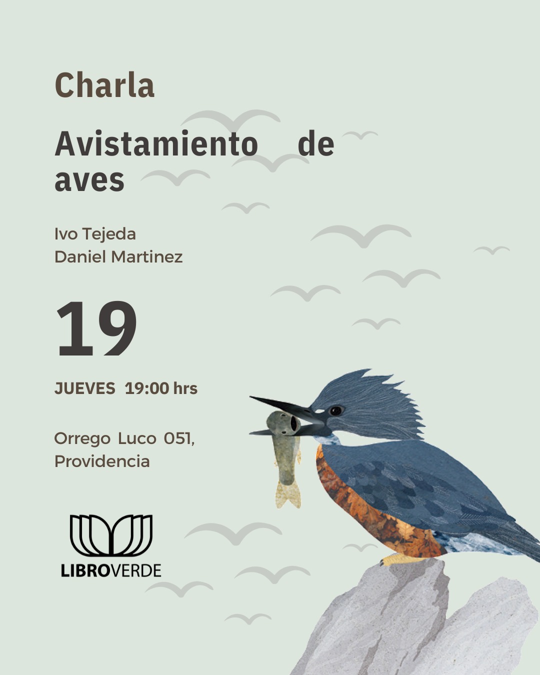 ¡Este jueves! Charla gratuita de avistamiento de aves en Libro Verde