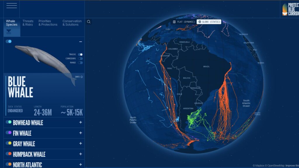 Rutas migratorias de diferentes especies de ballenas (corredores azules). Créditos: BlueCorridors.org.