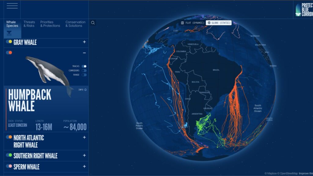 Rutas migratorias de diferentes especies de ballenas (corredores azules). Créditos: BlueCorridors.org.