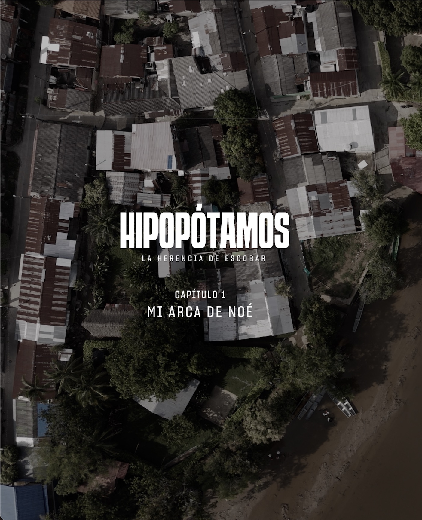 Emisión especial en conmemoración del Día Mundial del Medio Ambiente: «Hipopótamos, la herencia de Escobar»