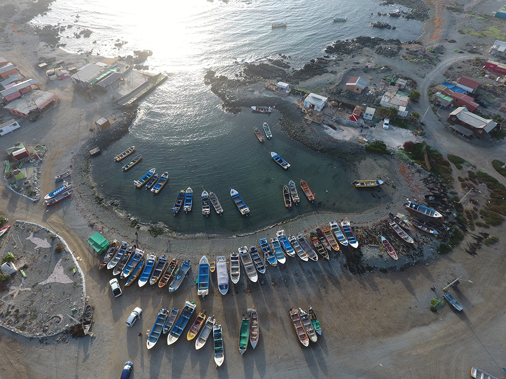 Caleta (referencial). Créditos: ©César Villaroel