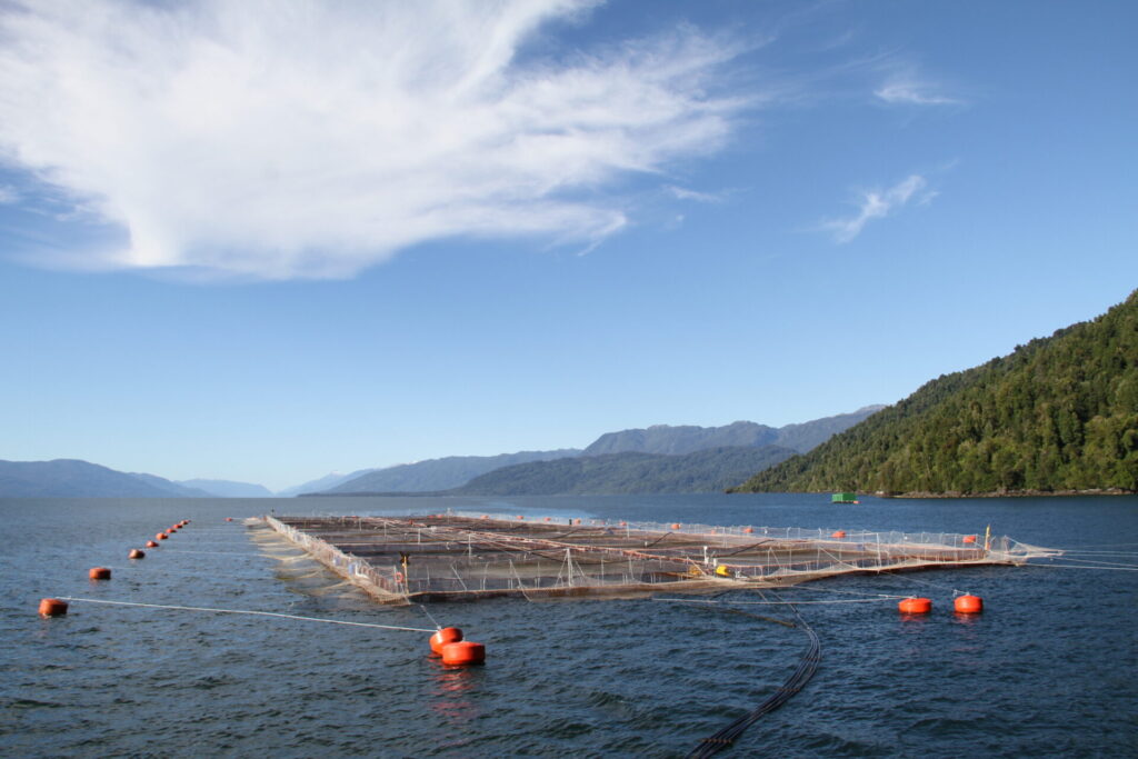 Centro de cultivo de salmones. Créditos: Denisee Mardones (WWF)