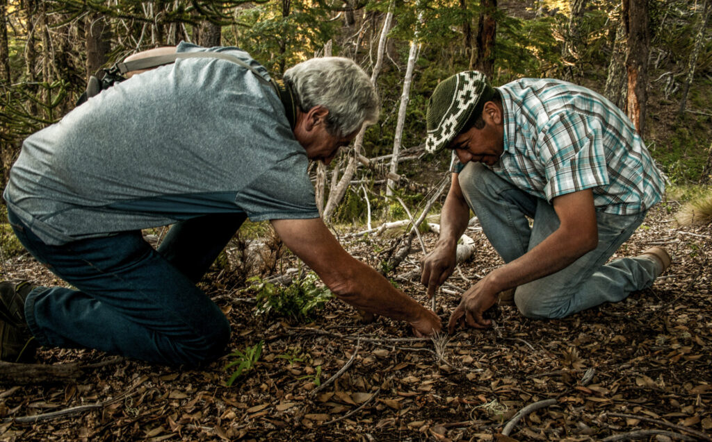Créditos: Encuentro por la Biodiversidad