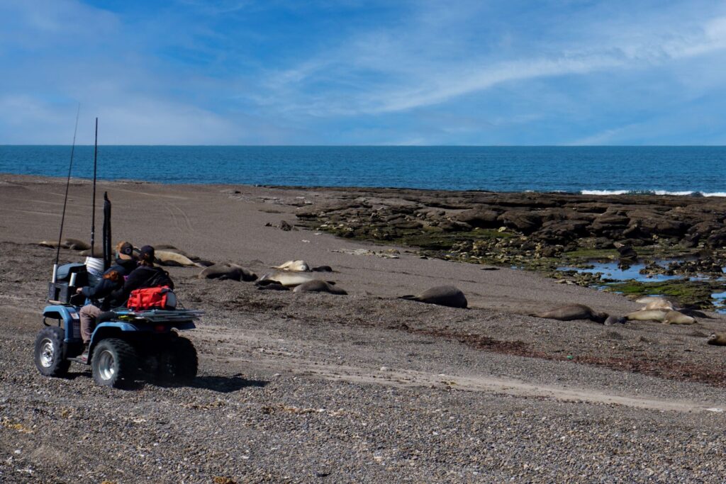 Cuatriciclos en Isla Escondida Créditos: Julieta Campagna