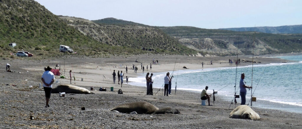 Torneo de pesca en temporada reproductiva en Isla Escondida. Créditos: María Belén González
