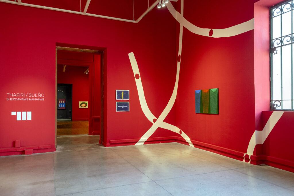 Exposición Thapiri/Sueño. Créditos: Museo de Arte Contemporáneo