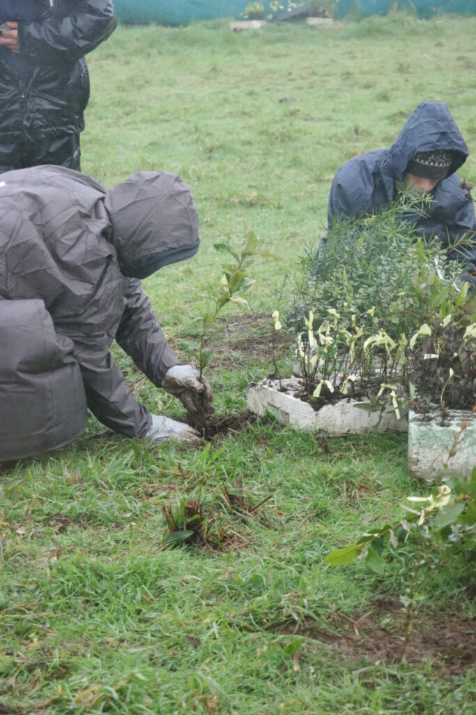 Personas plantando en edición anterior de Festival Pala en Mano. Créditos: Uñu Lab
