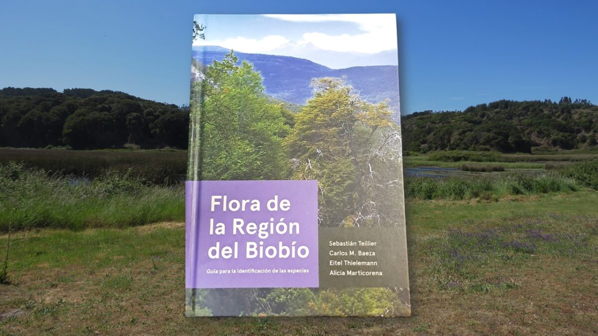 Nuevo libro celebra la riqueza botánica de la Región del Biobío