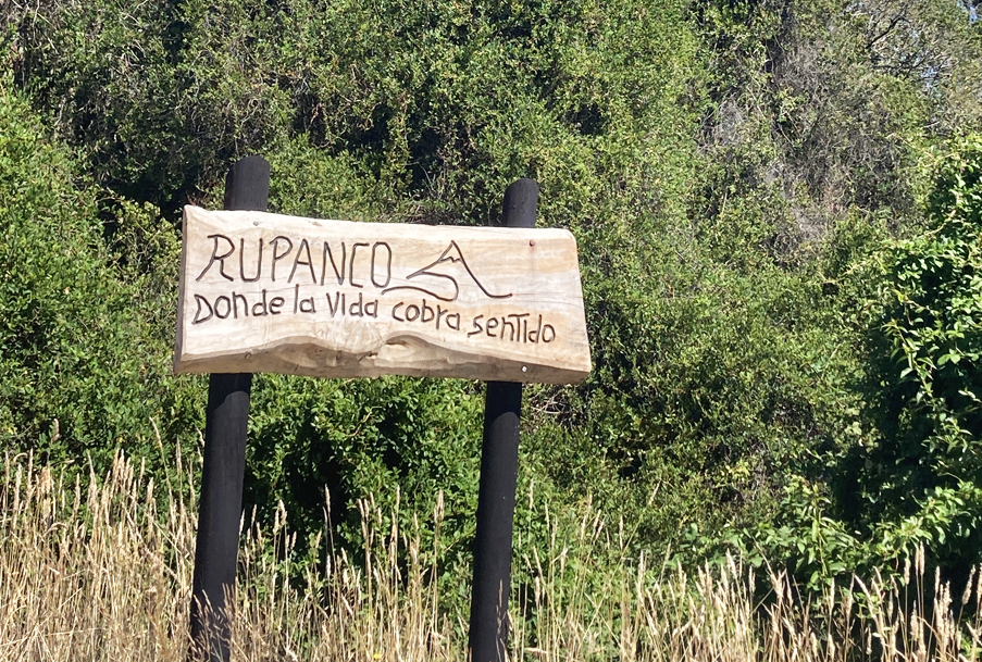 Letrero Rupanco. Créditos: María José Manzur