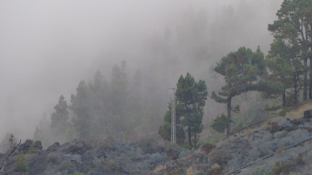 Fuente Caliente, Isla de La Palma, España. Créditos: Benjamín Núñez González - Own work, CC BY-SA 4.0, https://commons.wikimedia.org/w/index.php?curid=42126389
