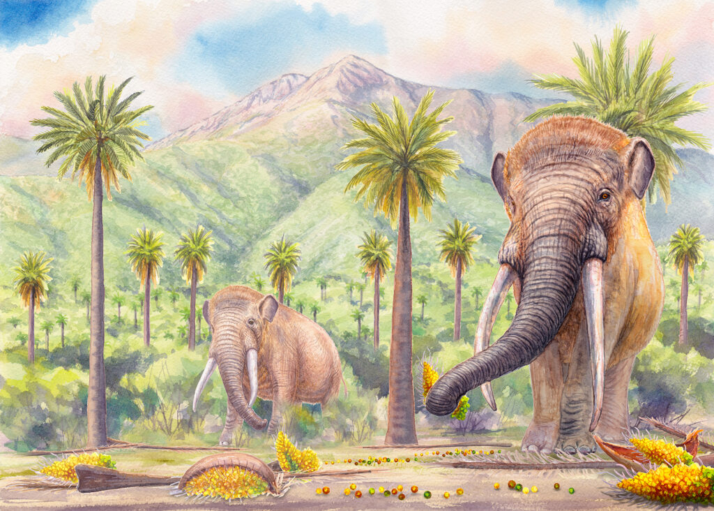 Ilustración de Notiomastodon platensis. Créditos: Mauricio Alvarez @mauricio_alvarez_art