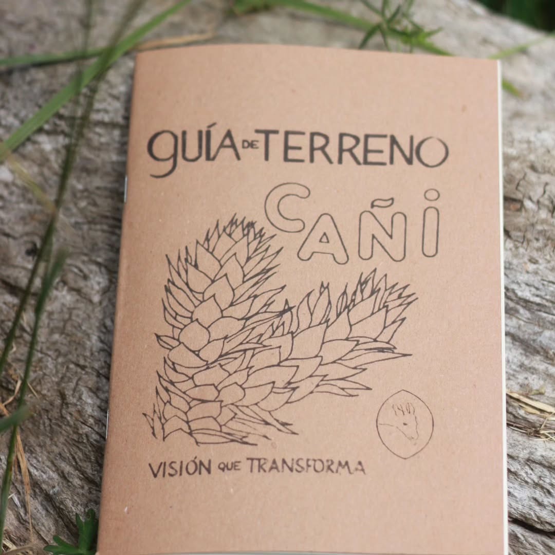 Portada Guía de Terreno Cañi. Créditos: Proyecto Huellas del Bosque