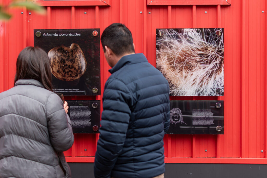 Inauguración jardín etnobotánico. Créditos: Victoria Vargas