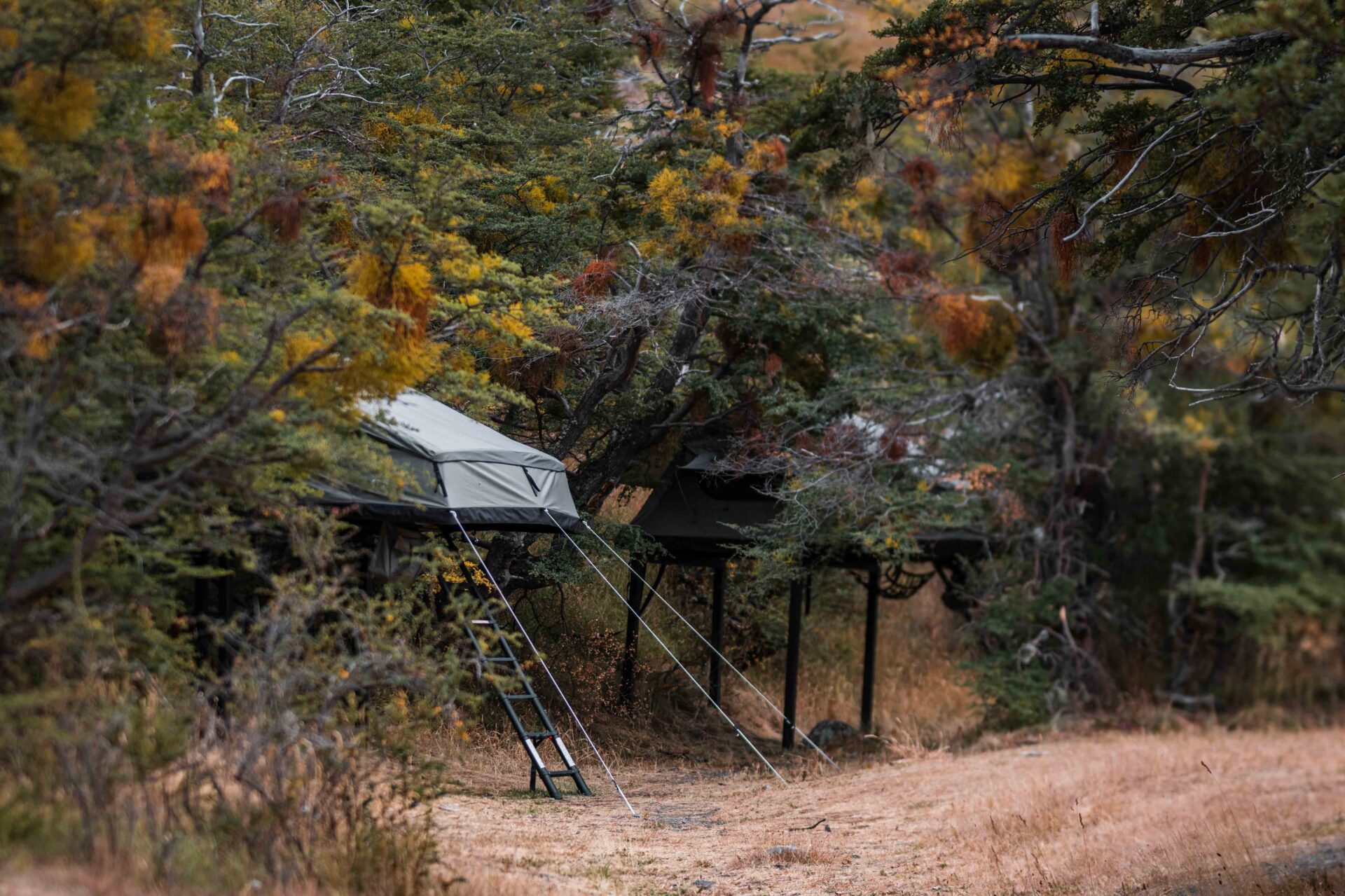 Livianas, rápidas y flexibles: Crean estaciones de camping desmontables que buscan no impactar el entorno natural