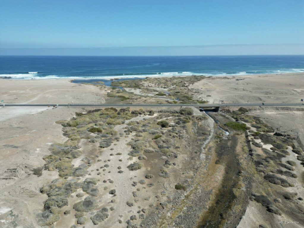 Desembocadura del río Loa en el océano Pacífico. Créditos: Ministerio del Medio Ambiente (@F. Becerra)