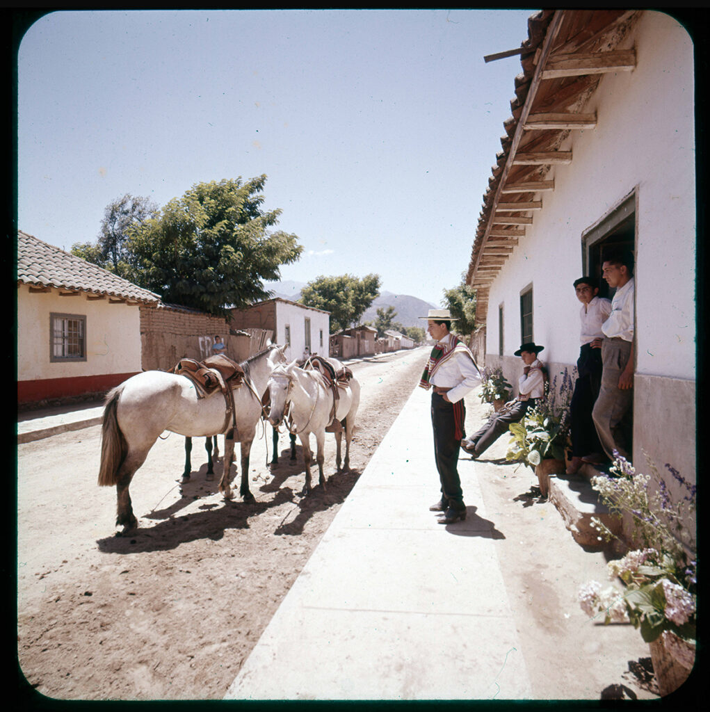 MITROVIC Jóvenes y caballos en una calle larga, Alhue, Región de O'higginns, Chile, 1950 - 1965. Créditos: ©Fundación Enterreno