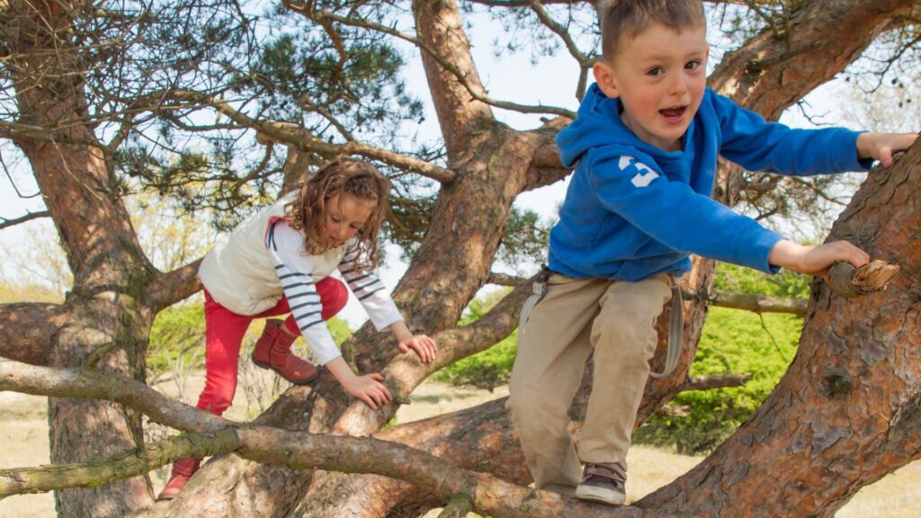 Niños jugando en la naturaleza. Créditos: DNHanlon.