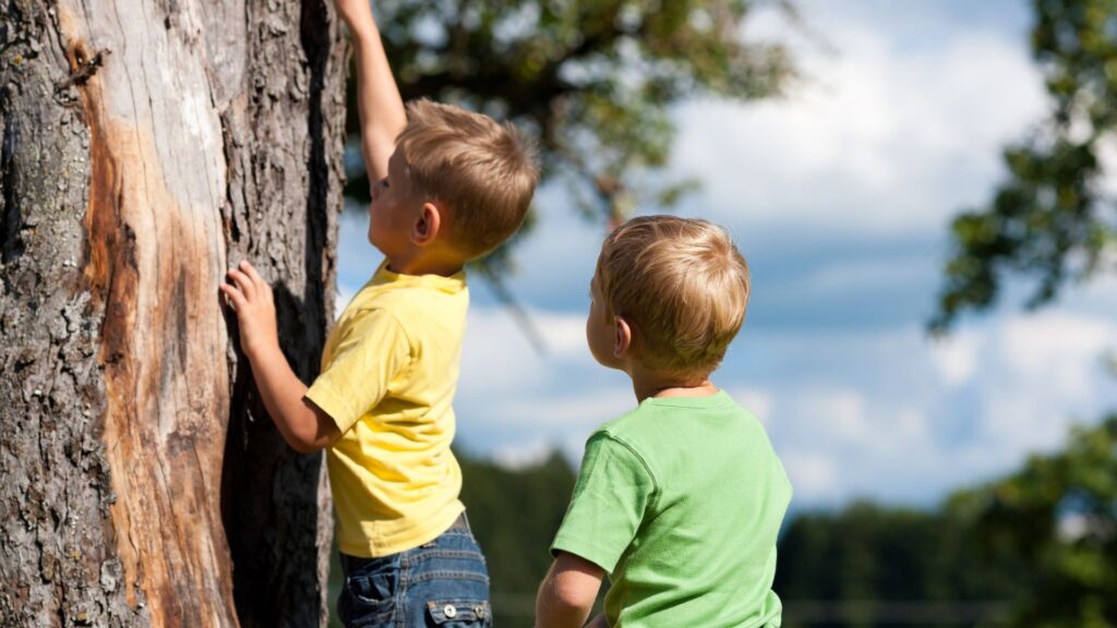 Niños jugando en la naturaleza. Créditos: Kzenon.