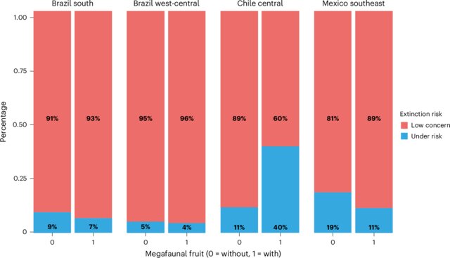 Percentage of tree species in two extinction risk categories Each bar differentiates between tree species with (1) and without (0) megafaunal fruits in four botanical regions in South America: Brazil south, Brazil west-central, Chile central and Mexico southeast. The conservation categories Low concern, covering the Near Threatened (NT) and Least Concern (LC) categories, and Under risk, covering the Vulnerable (VU), Endangered (EN) and Critically Endangered (CR) categories, are as defined by the IUC
