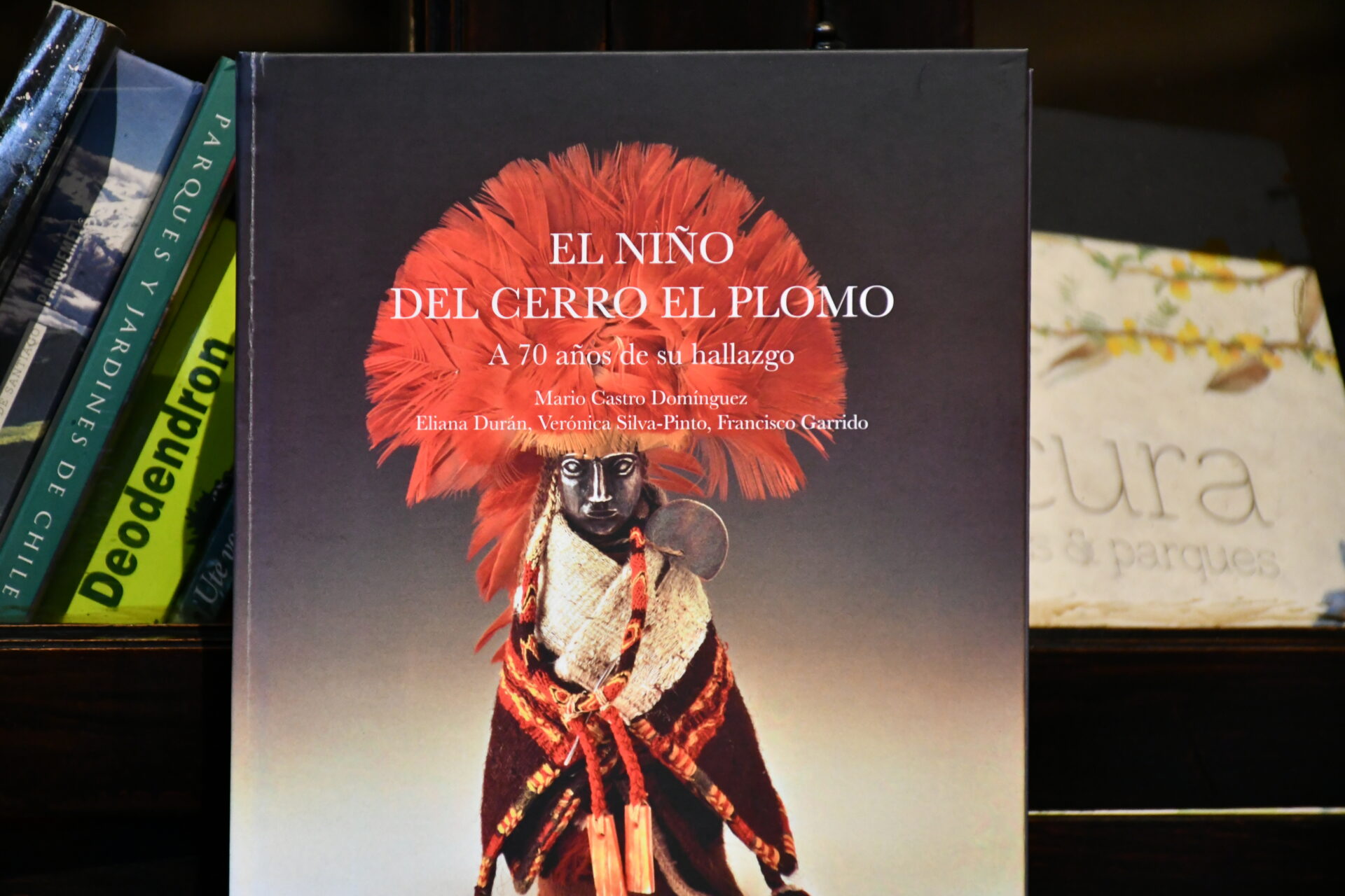 Presentan libro con nuevos hallazgos sobre Niño del cerro El Plomo