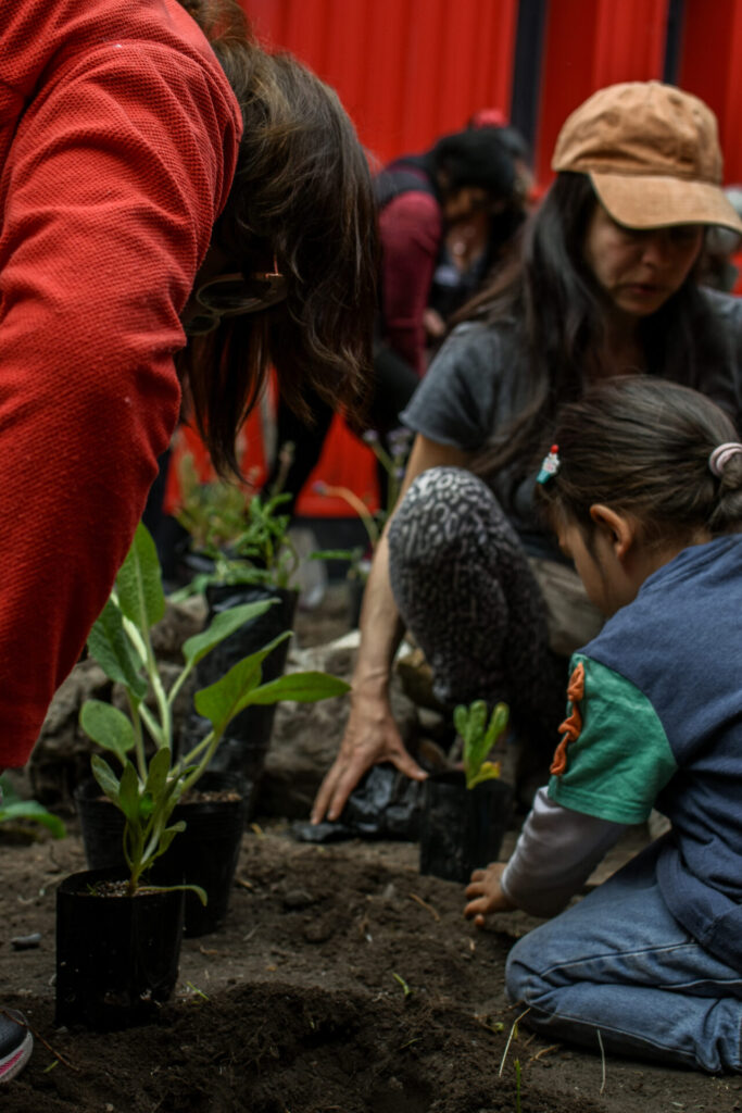 Proceso jardín etnobotánico. Créditos: Victoria Vargas