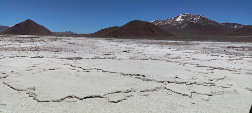 Salar Maricunga. Foto: Jessica Acuña.