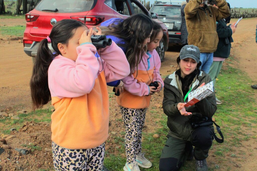 Salida observación iniciación. Créditos: Red de Observadores de Aves y Vida Silvestre de Chile (ROC)