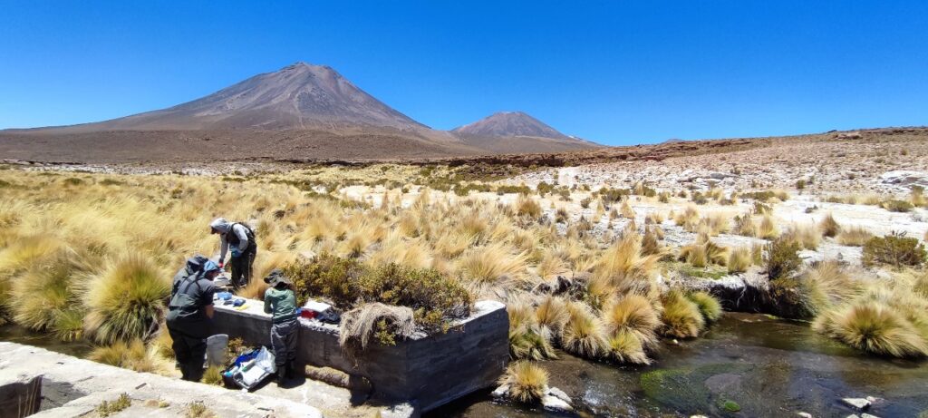 Volcán Miño, región de Antofagasta. Créditos: Gabriel Lobos