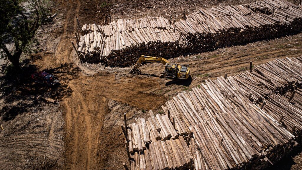 Extractivismo y el despojo territorial.