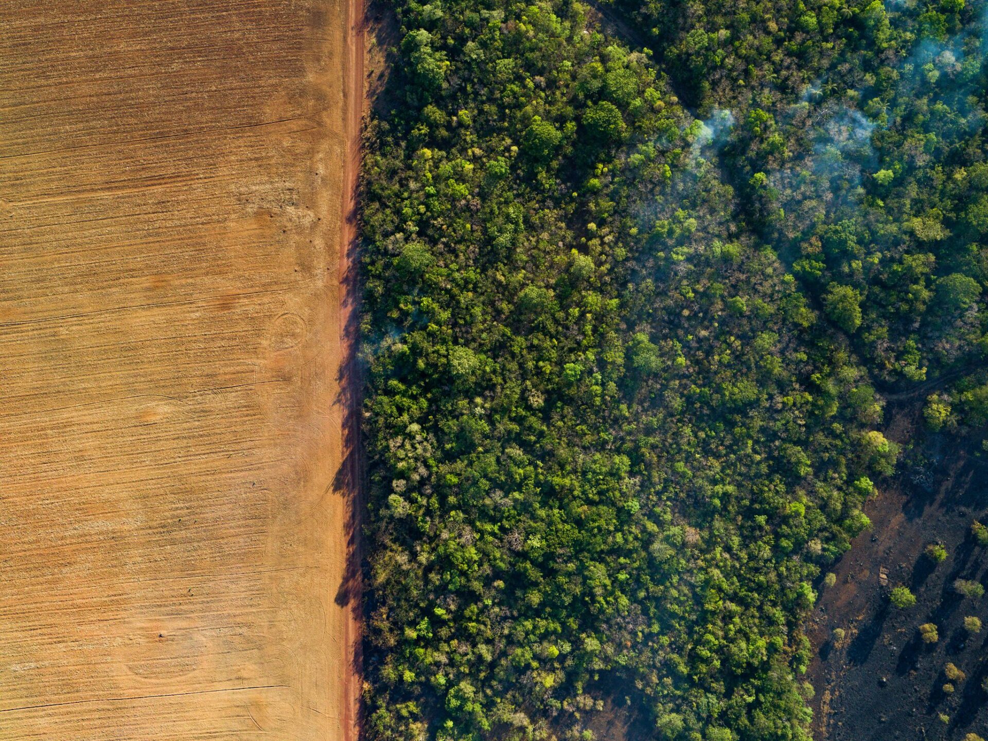 TRILOGÍA DEL AGUA III: Pobre incidencia internacional frente a la triple crisis global v/s luces de esperanza a nivel local