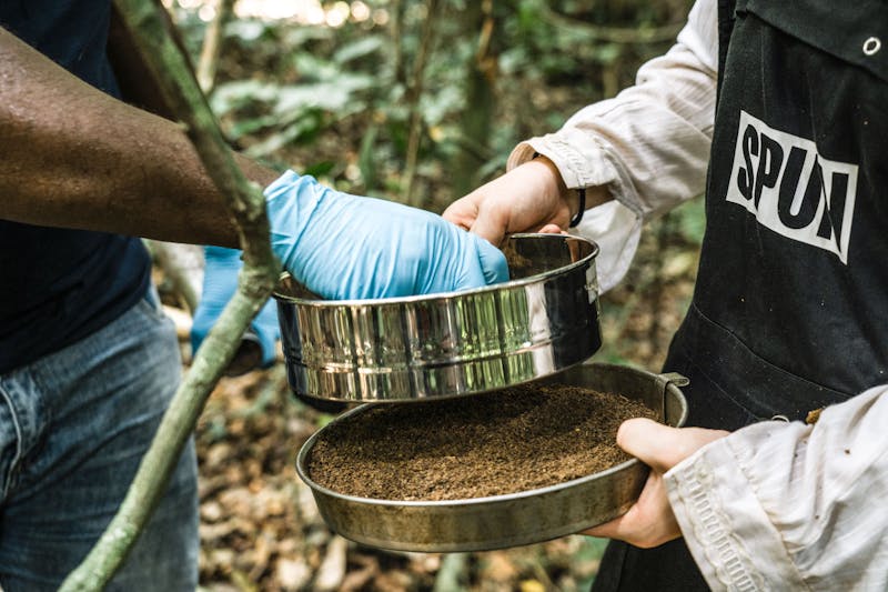Recolección de suelo en el Parque Nacional Kakum, Ghana. Foto: Natalija Gormalova