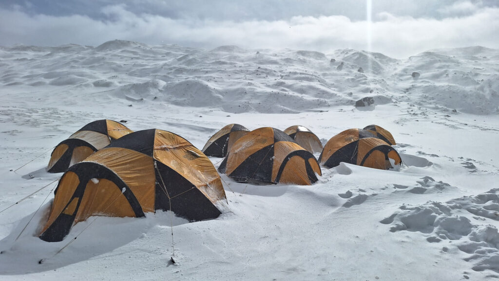 Carpas en la Antártica. Créditos: Fernando da Silva et. al
