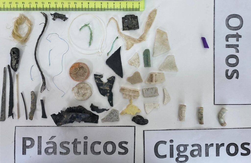 Basura recolectada en el límite superior de la playa Anakena, Rapa Nui. Créditos: © Emilia Palma Tuki