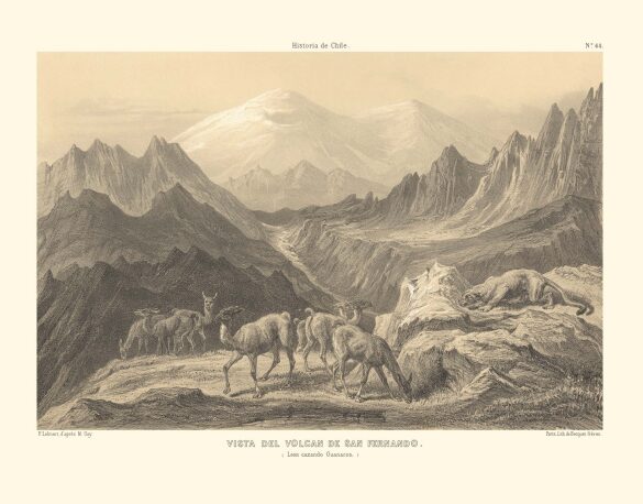 Vista del volcán de San Fernando. Foto: Biblioteca Nacional.