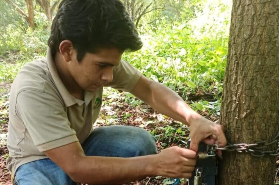 Benjamín Navas instalando una cámara trampa. Foto: cortesía Keep in Science / Benjamín Navas.